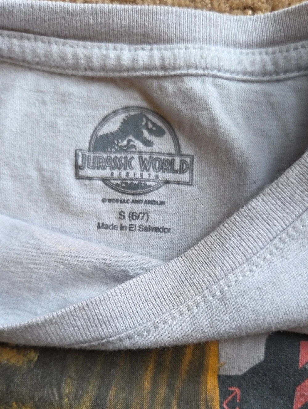 Jurassic World Kids Light Gray Dino Graphic Tee - 